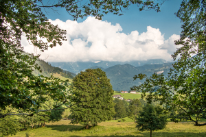 Beispiel für Einrahmungen (Ramsau, Nationalpark Berchtesgaden)