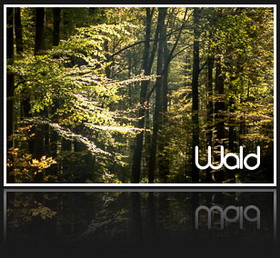 Best of - Wald